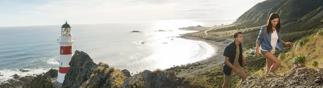 Cape Palliser